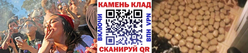 Купить закладки  Каменск-Шахтинский  ГАШИШ индика сатива 