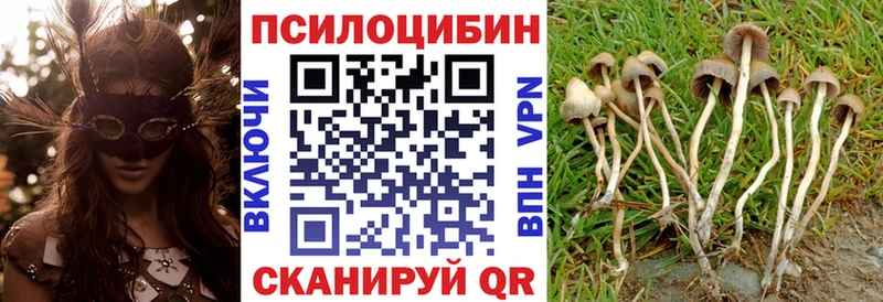 Галлюциногенные грибы ЛСД  Купить где  Каменск-Шахтинский 